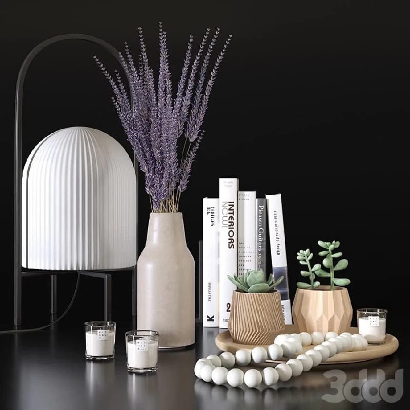 Decorative set with lavander and succulents