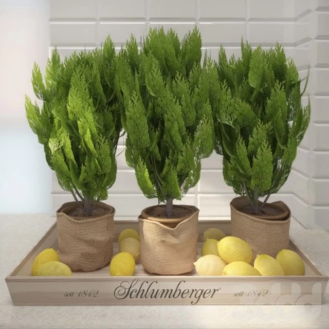 Decor with lemon