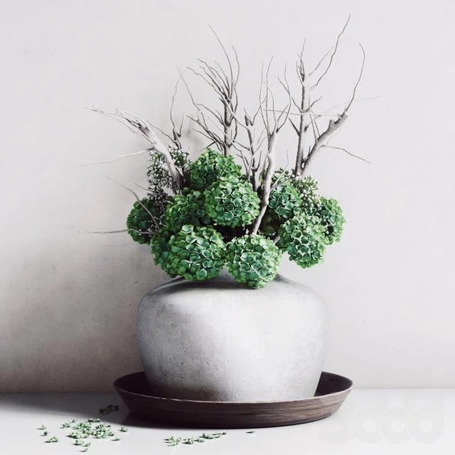 Hydrangea Vase