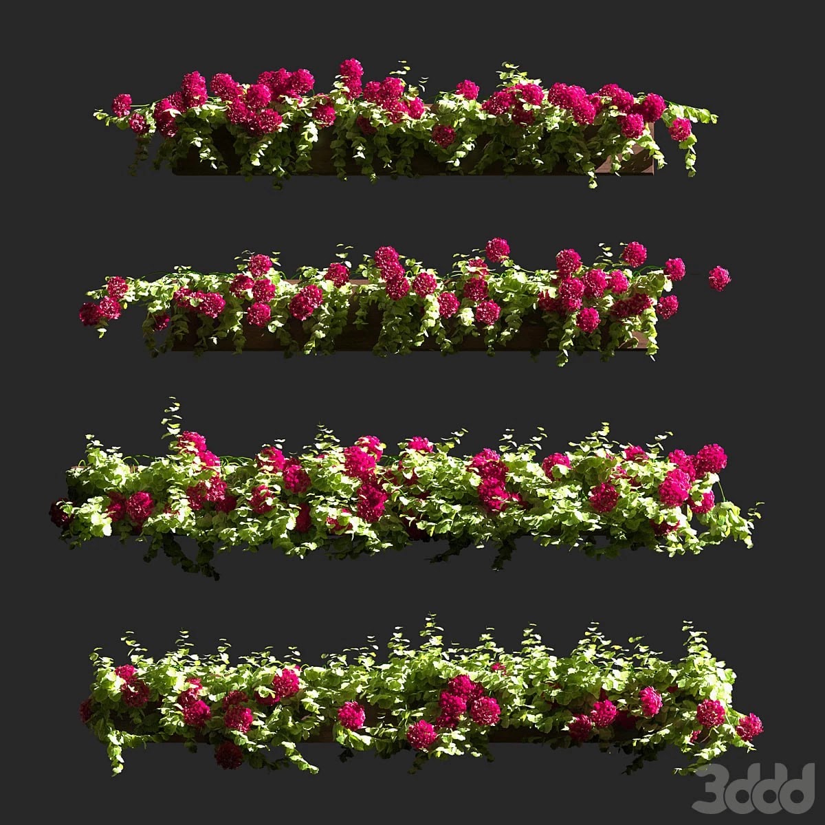 Plant Geranium Facade v2