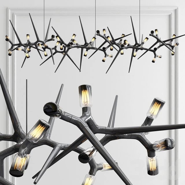 Thorn Lighting by Yilmaz Dogan