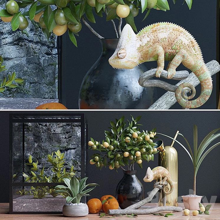 Decorative set, chameleon