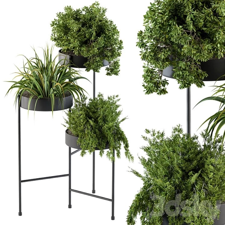 Black round plant box