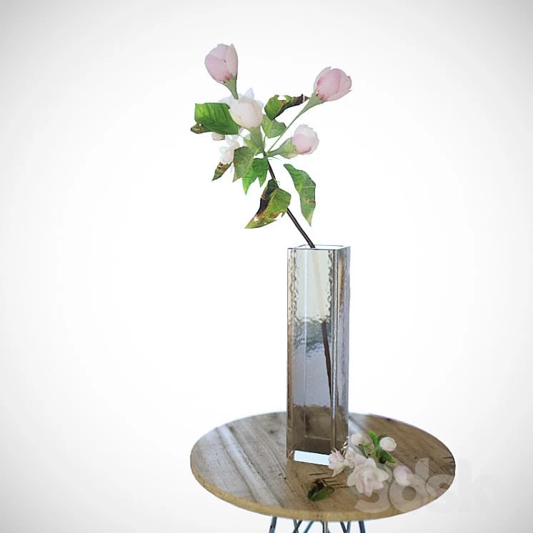 Apple tree branch