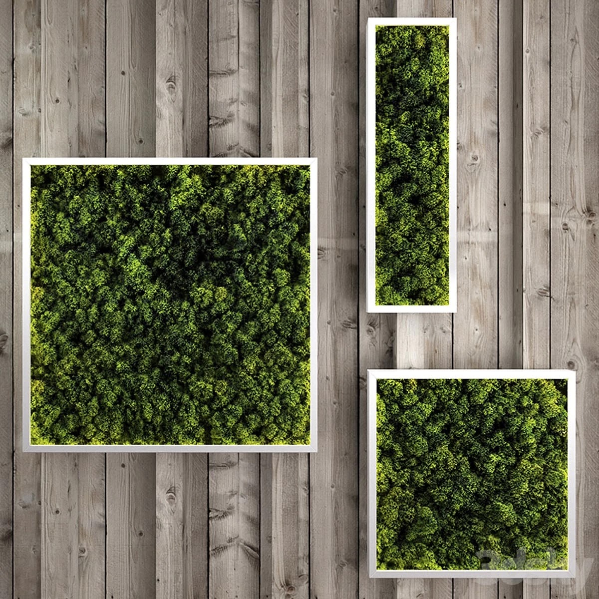 Moss modules