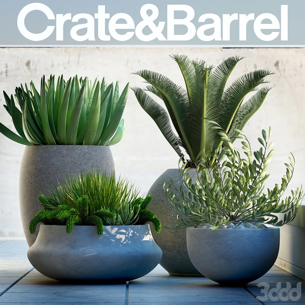 Plants 78