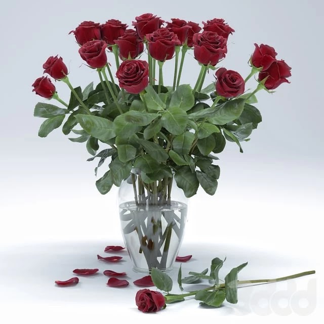 Roses