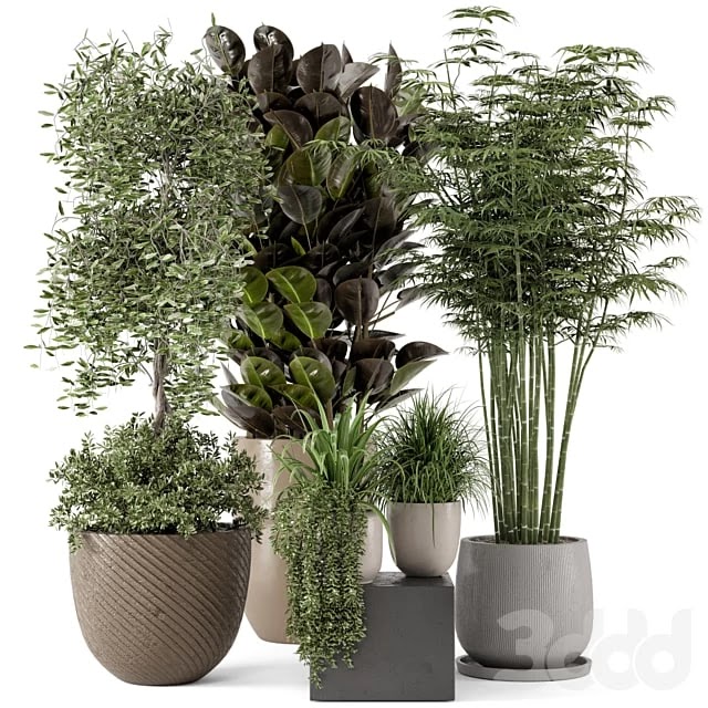 Plants in rusty Concrete Pot - Set 229