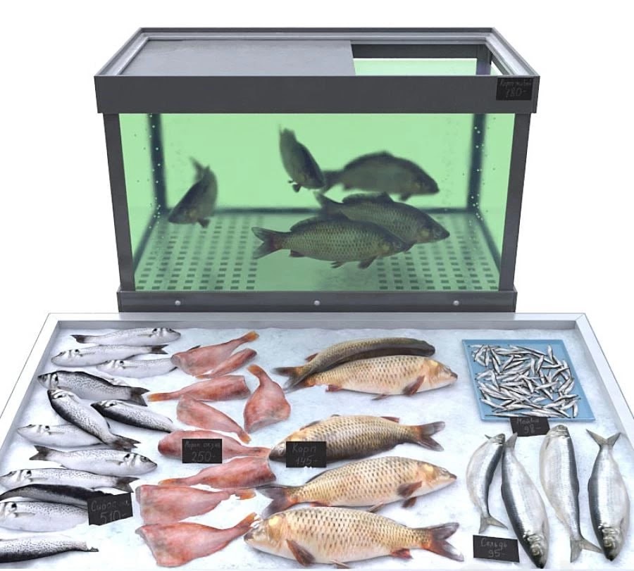 Fish Store
