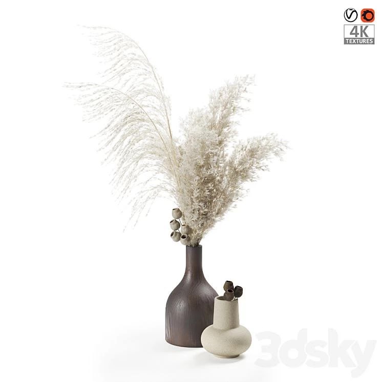 Bouquet of pampas grass