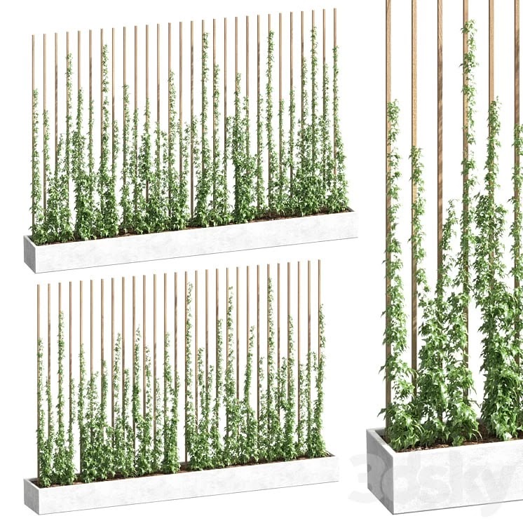 Ivy partition