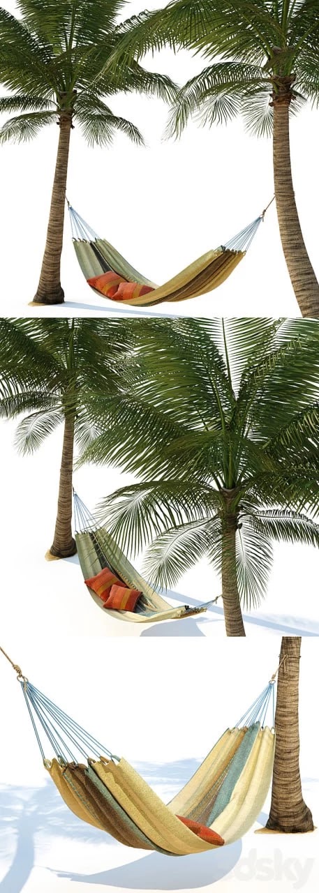 Hammock on palm trees