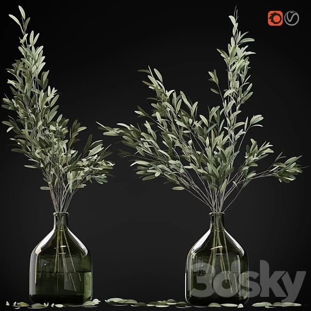 Olive stems in glass vase with water