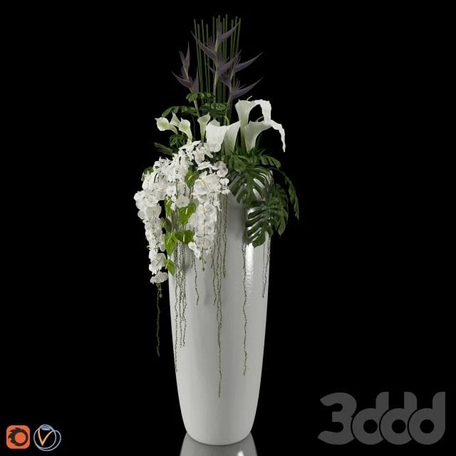 Exotic arrangement
