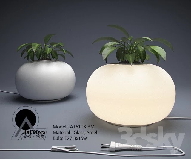 Plant Light Vase