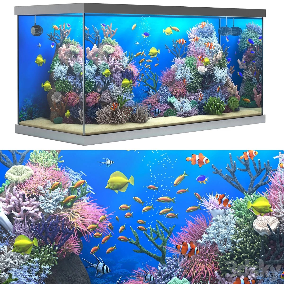 Seawater aquarium