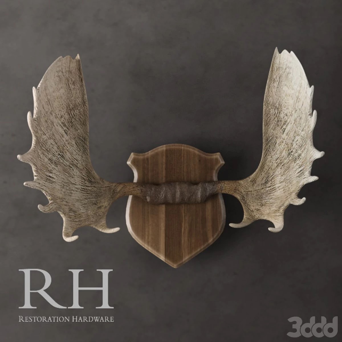 Restoration Hardware - Moose Antlers in Cast Resin
