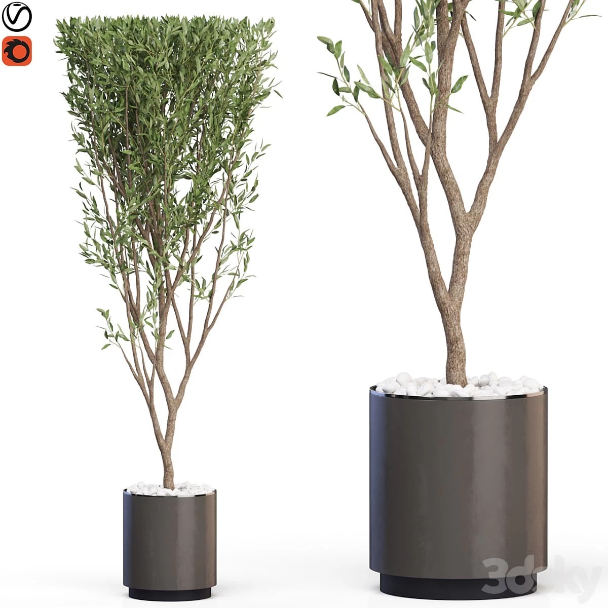Plants collection 624