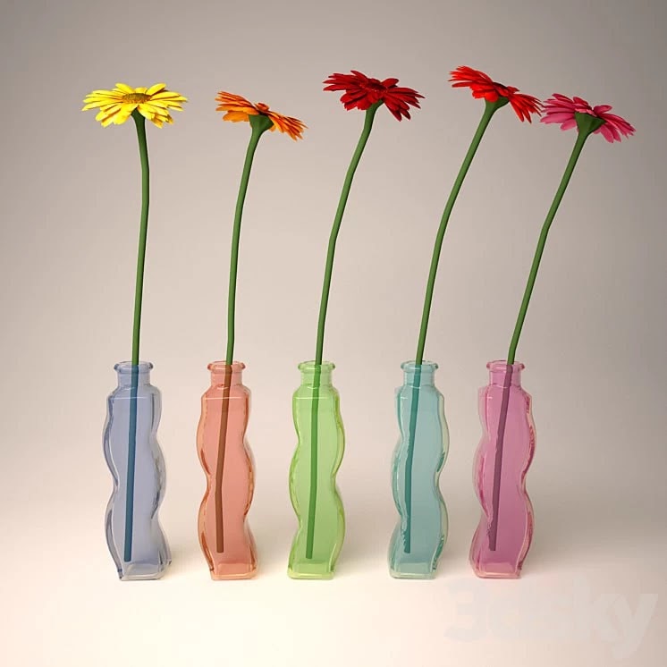 Gerbera