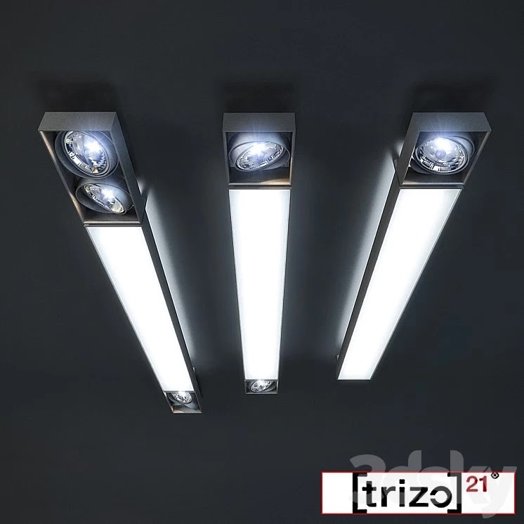 Trizo 21 \ Cri-Ate
