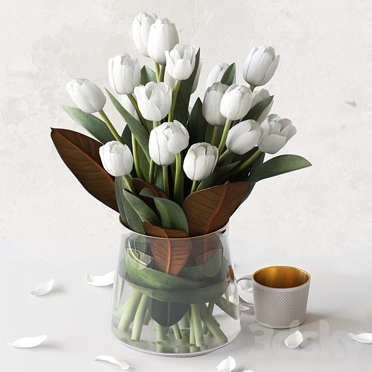 Tulips