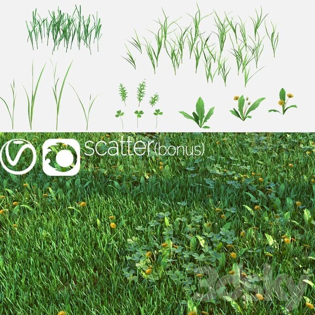 Set for the creation of field grass and lawns