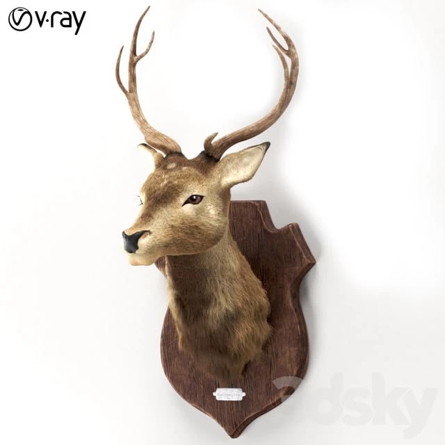 Deer deer head animal fur hunting shield horn decorative