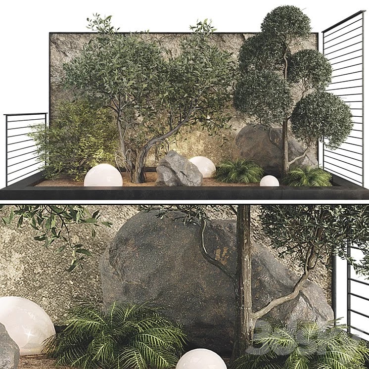 Plant Collection Set 36