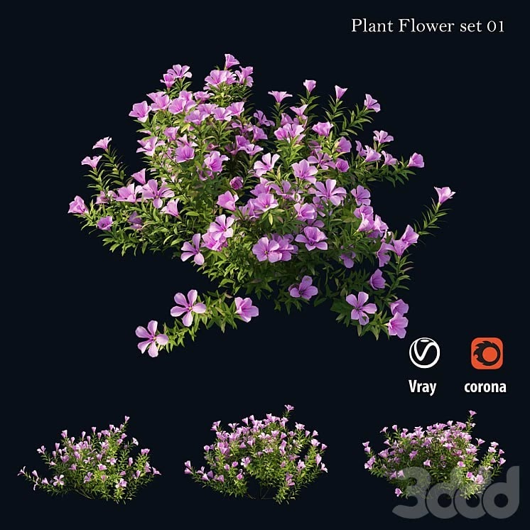 Plant Flower set 01