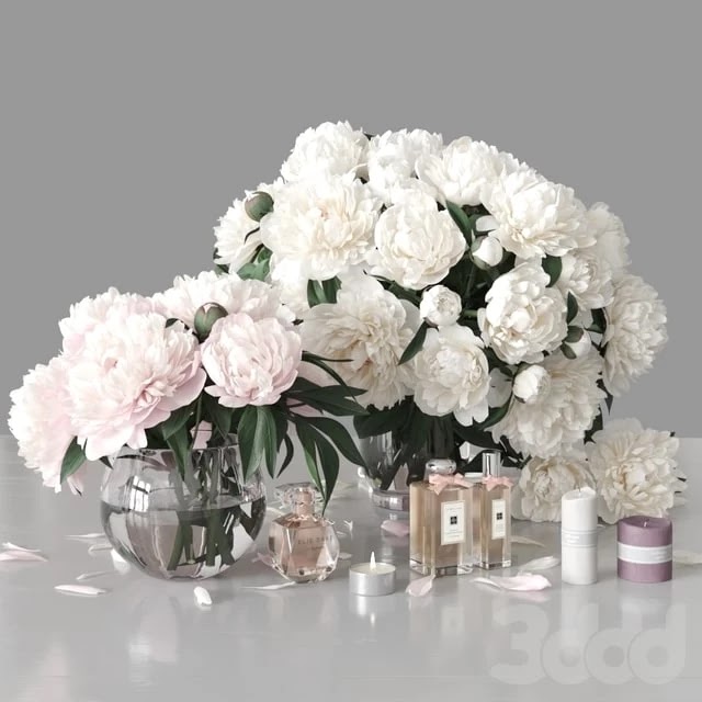 Peonies 2