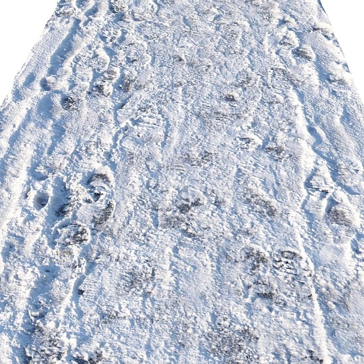 Winter footpath 04 (8 meters)
