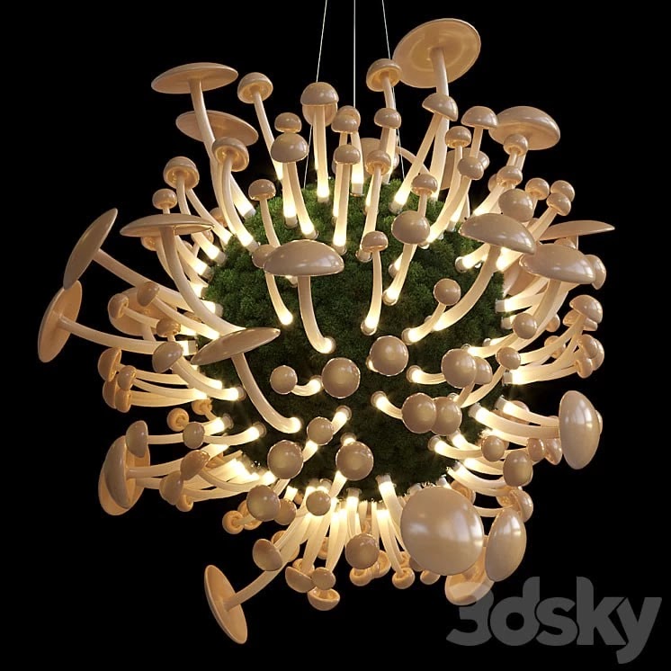 Mushrooms - Vargov Design
