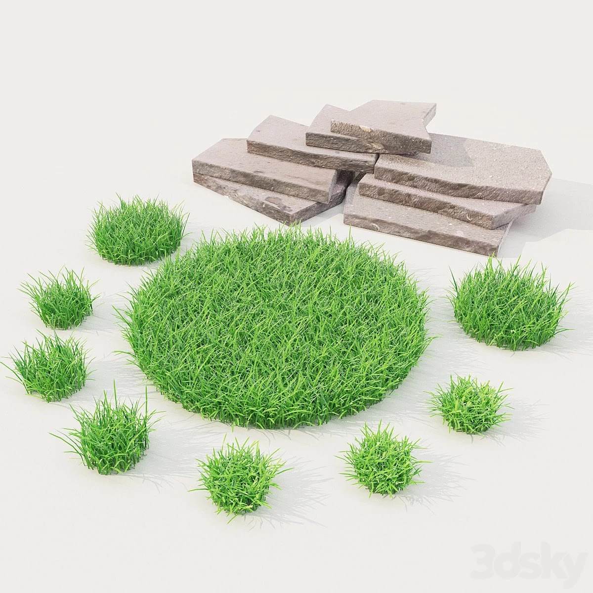 Lawn Grass with Stones