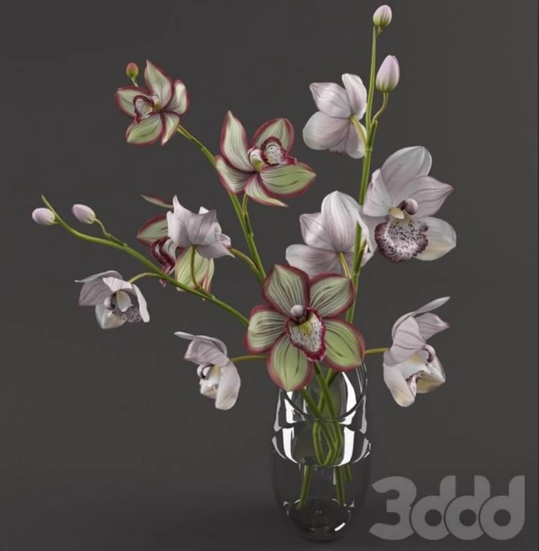 orchid
