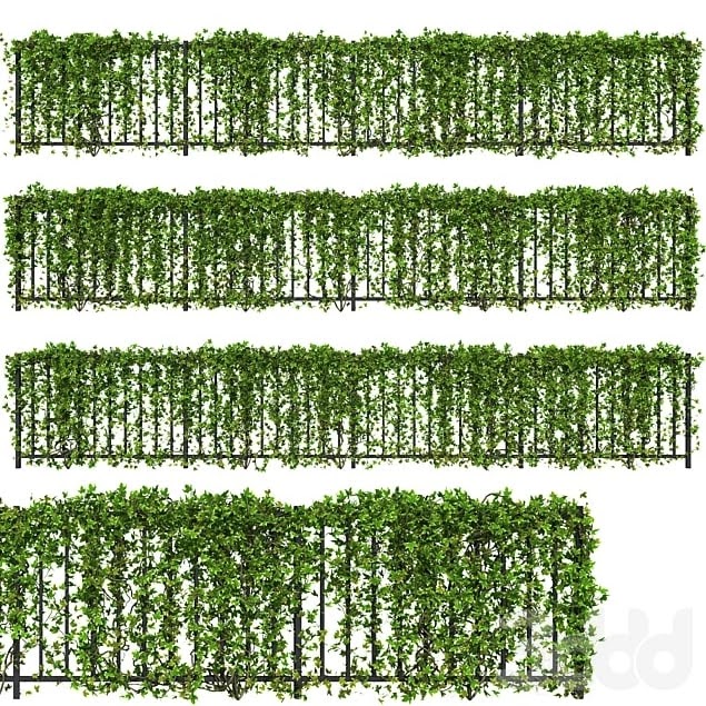 Fence with Ivy v16