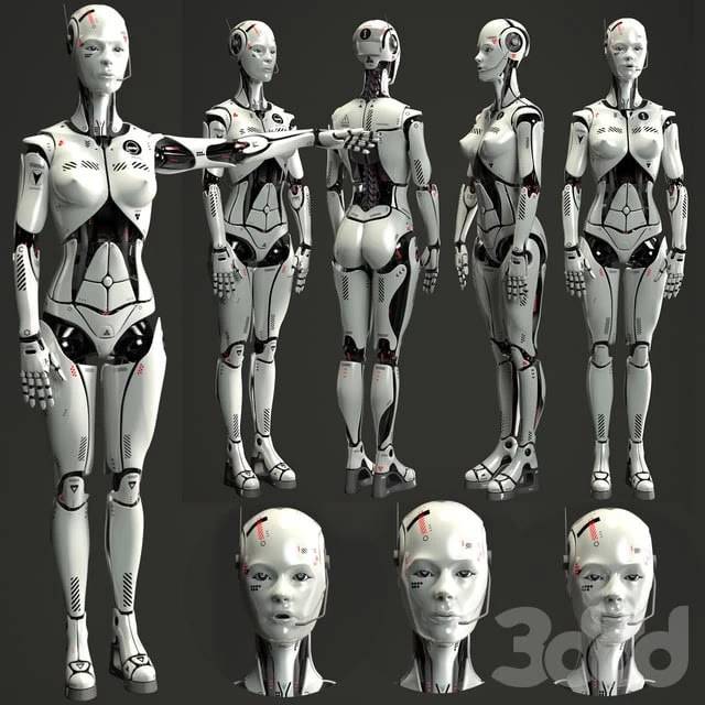 Robot