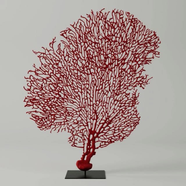 Red Gorgonaria Decoration