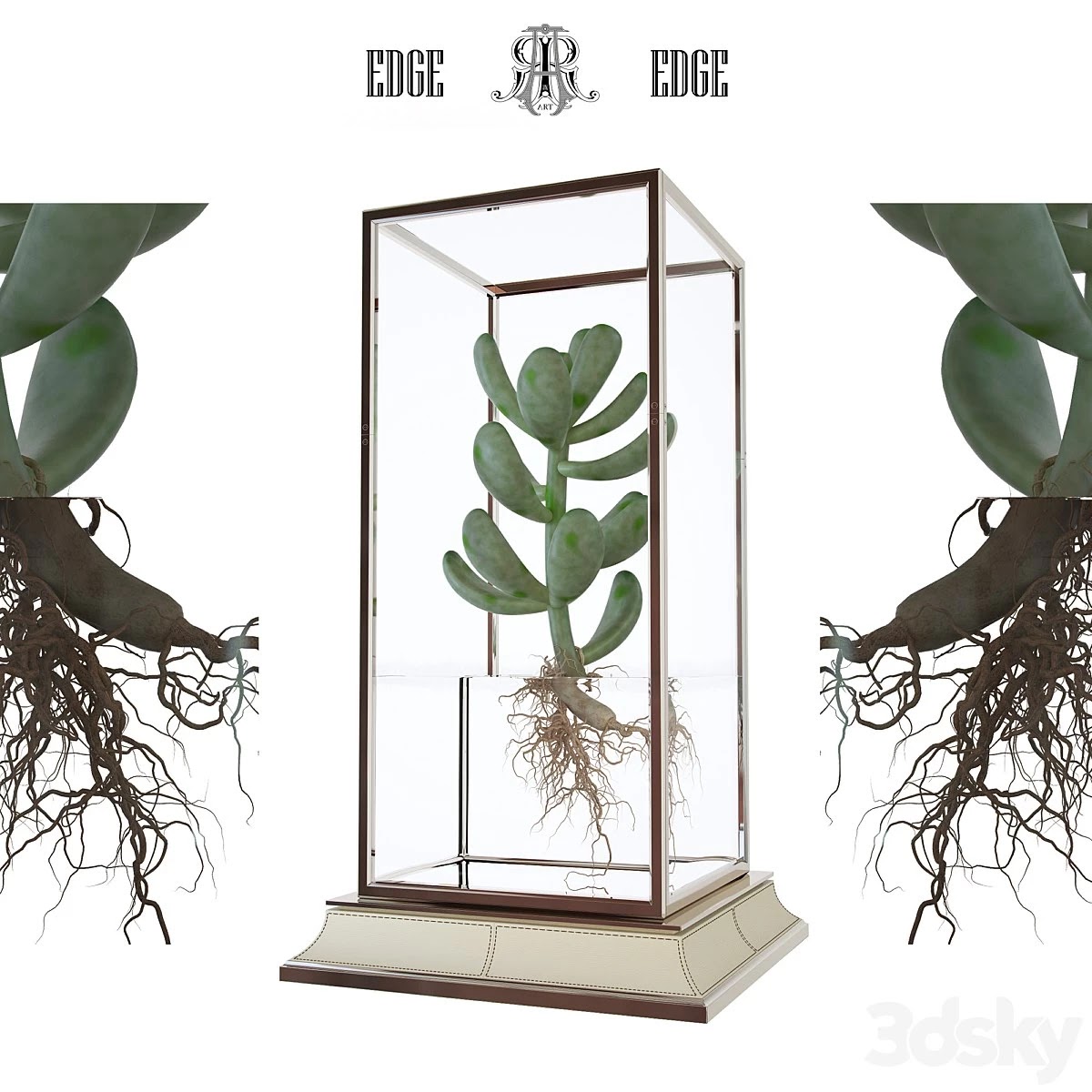 Cactus in a vase on a stand