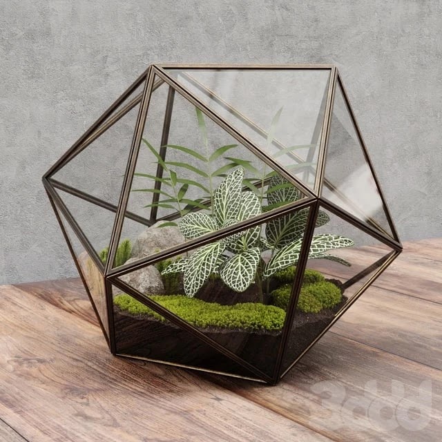 Florarium icosahedron