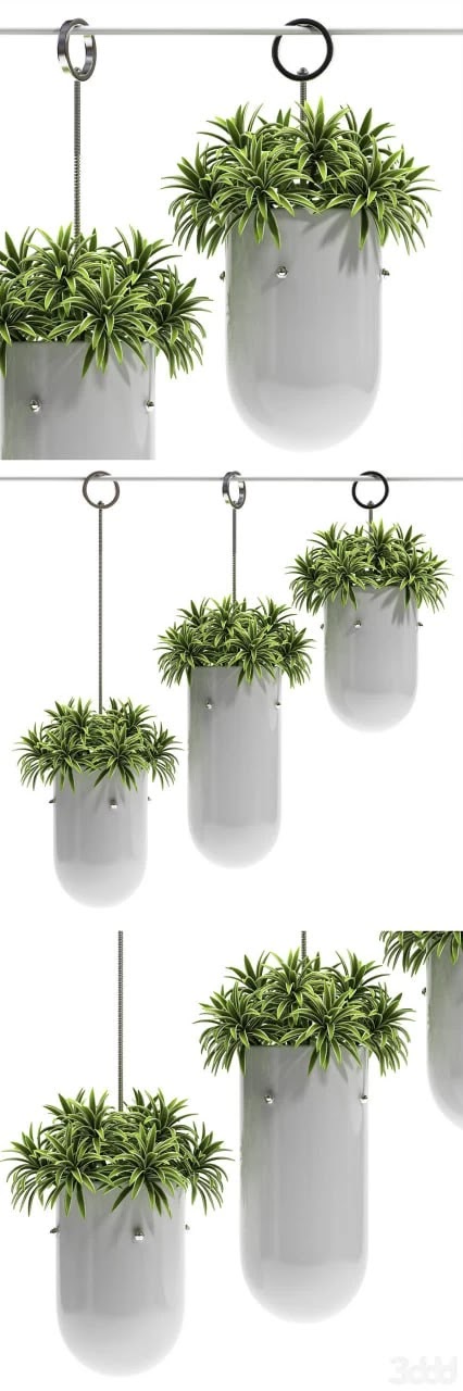 Hanig vase