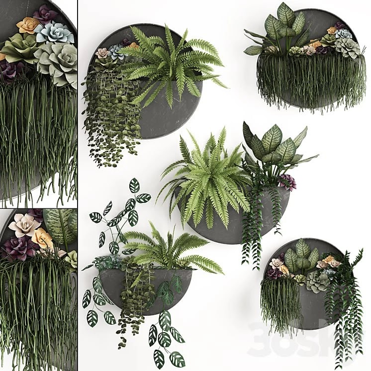 Vertical gardening. 56 Garden, wall decor, ferns, succulents, black metal shelf, flowers, loft, hanging plants, hanging down