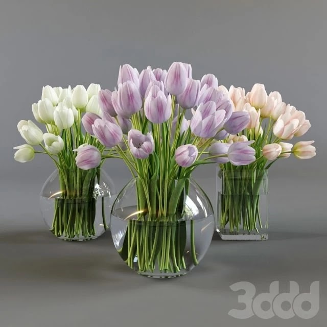 Three vases with tulips