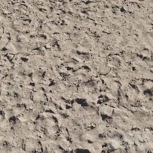Sand beach_5