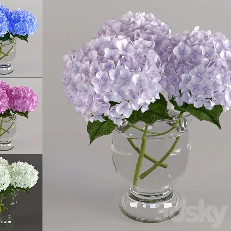 Bouquet of hydrangeas