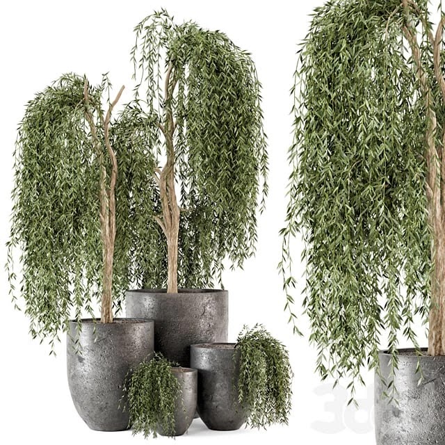Outdoor Plants bush and Tree in rusty Dark Concrete Pot - Set 52
