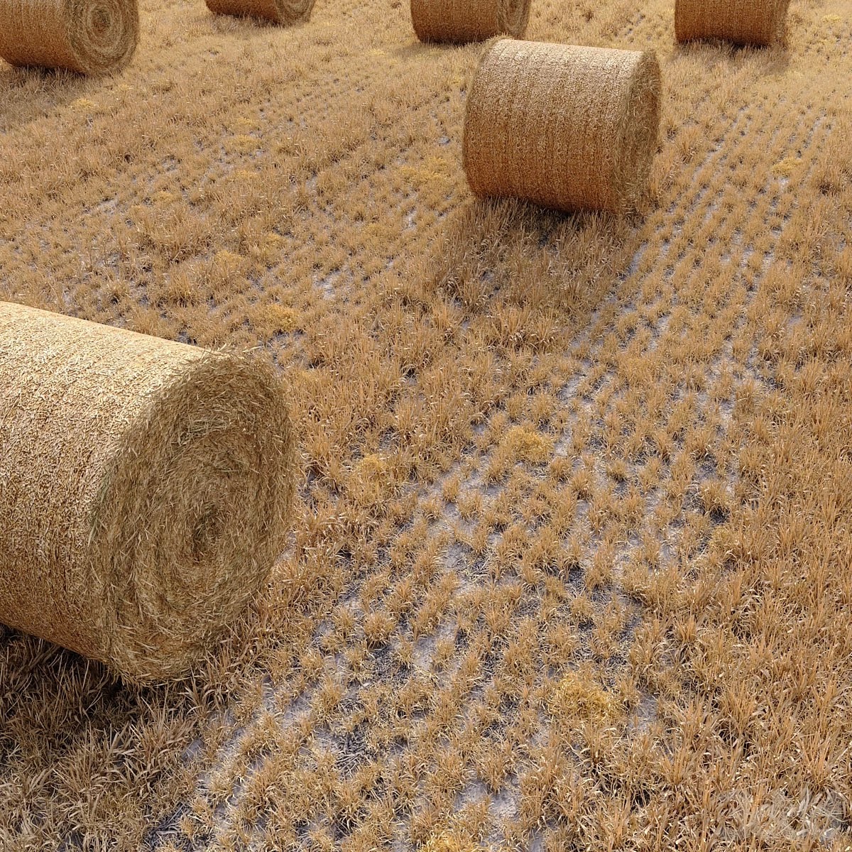 Farm field with hay bale