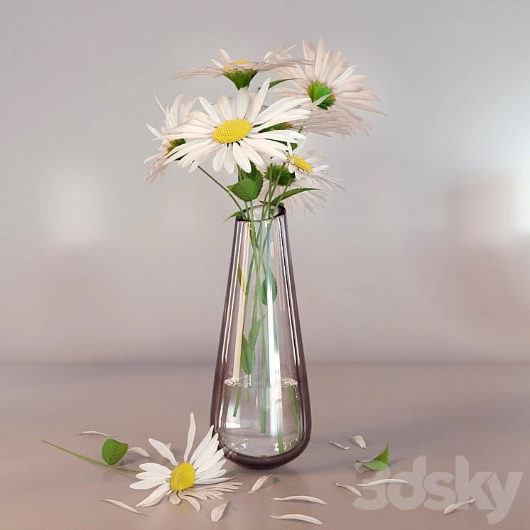 Daisies