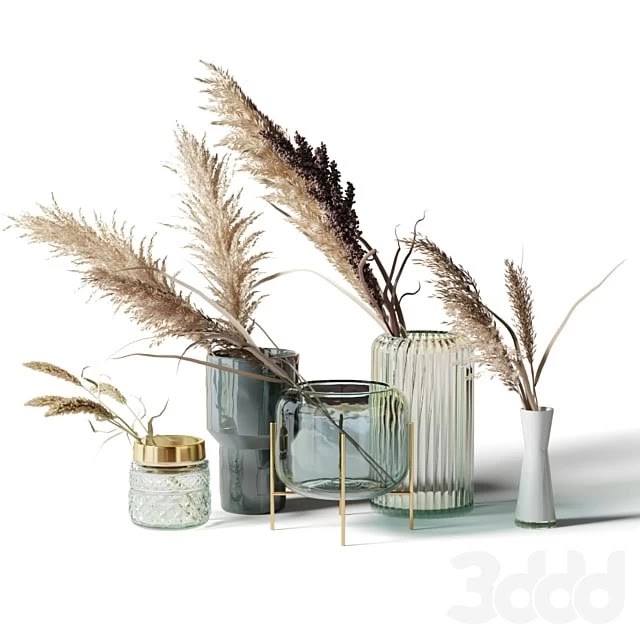 Set of 5 bouquets of dried flowers in glass vases
