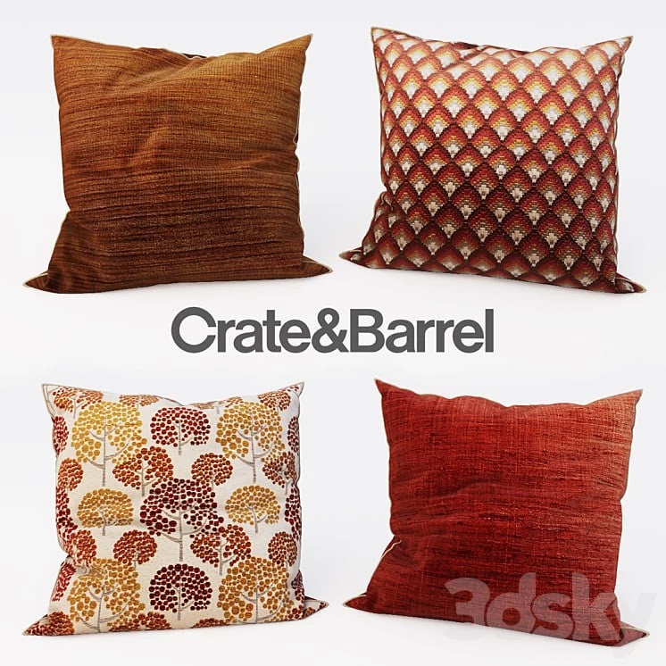 CrateandBarrel - Decorative Pillows set 1