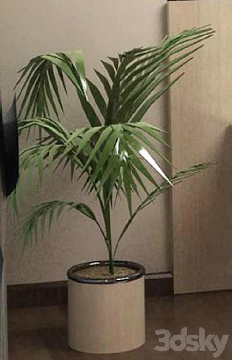 Plant